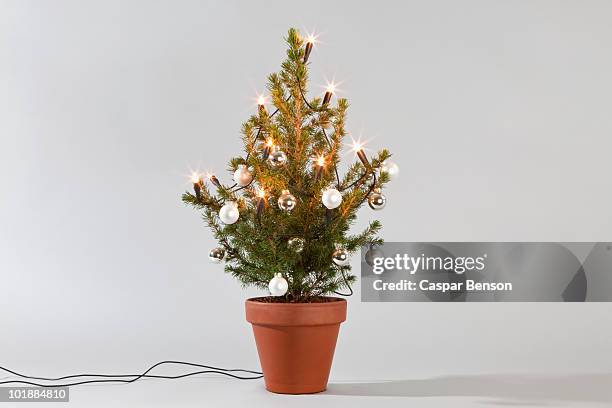 a small christmas tree decorated with lights and baubles - small stockfoto's en -beelden
