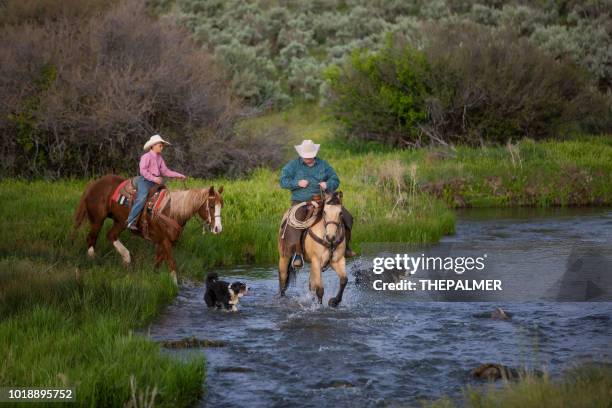 1,687 Child Riding Dog Stock Photos, High-Res Pictures, and Images ...