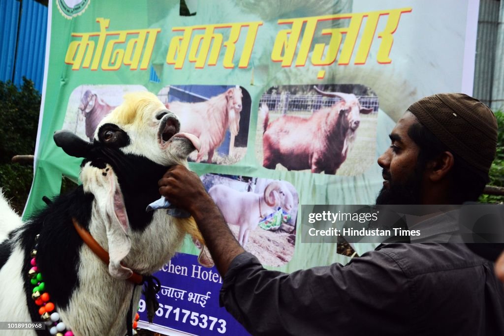 Pune Livestock Market Ahead Of Muslim Festival Eid Al-Adha