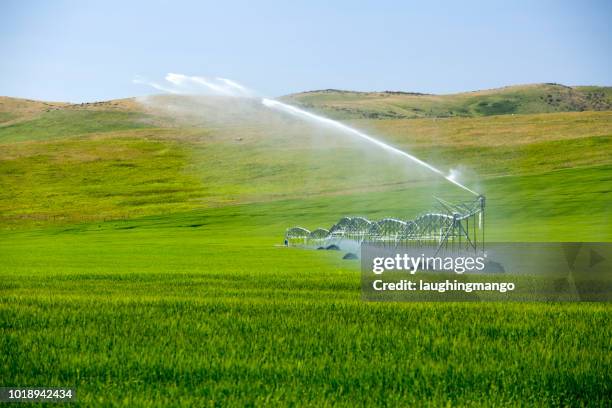 centrum pivot irrigatie apparatuur - alberta farm scene stockfoto's en -beelden