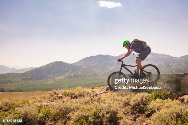 giro in mountain bike - andare in mountain bike foto e immagini stock