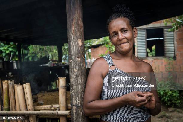 mulher brasileira em sua casa, na cozinha de uma fogão a lenha - locais geográficos - fotografias e filmes do acervo