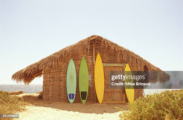 mexico, baja california, surfboards leaning against beach shack - strandhütte stock-fotos und bilder