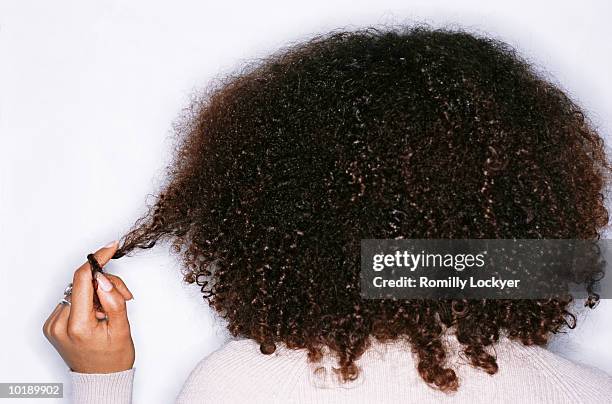 young woman twisting hair round finger, rear view - curly hair back stock pictures, royalty-free photos & images