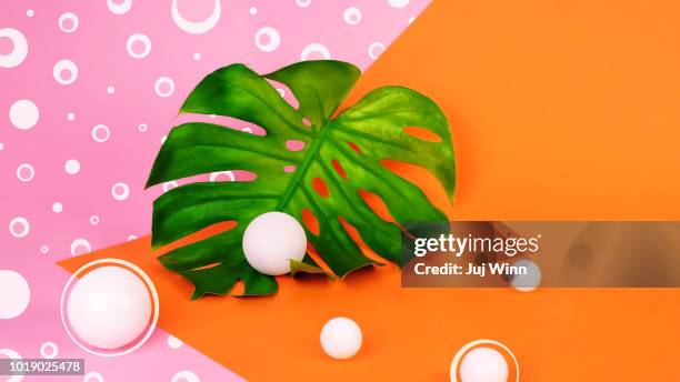 monstera leaf on orange and pink background - color blocking stock pictures, royalty-free photos & images