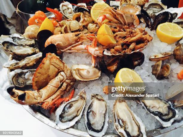 oyster, prawns, crab, mussels served on crushed ice in plate in a restaurant - kräftdjur bildbanksfoton och bilder