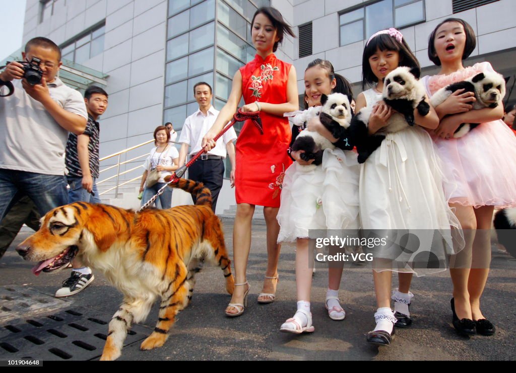 Dogs Painted As Other Animals To Launch New China Pet Park