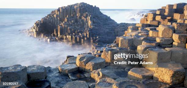 northern ireland, county antrim, giants causeway - irlanda del norte fotografías e imágenes de stock