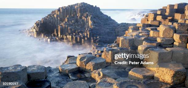 northern ireland, county antrim, giants causeway - giants causeway photos et images de collection