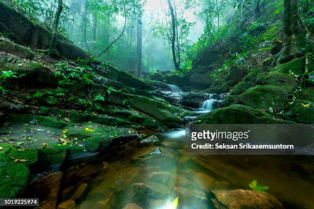 waterfall (saithip waterfall) with stone of green moss in autumn forest - spring flowing water stock-fotos und bilder