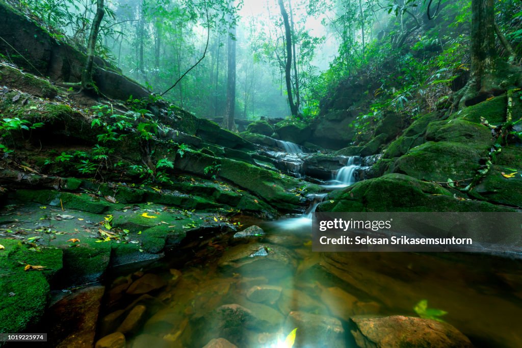 Waterfall (Saithip Waterfall) with stone of green moss in autumn forest
