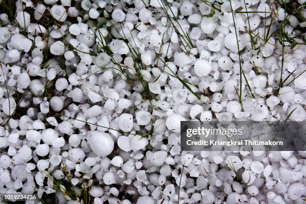 hailstones. - hail stock pictures, royalty-free photos & images