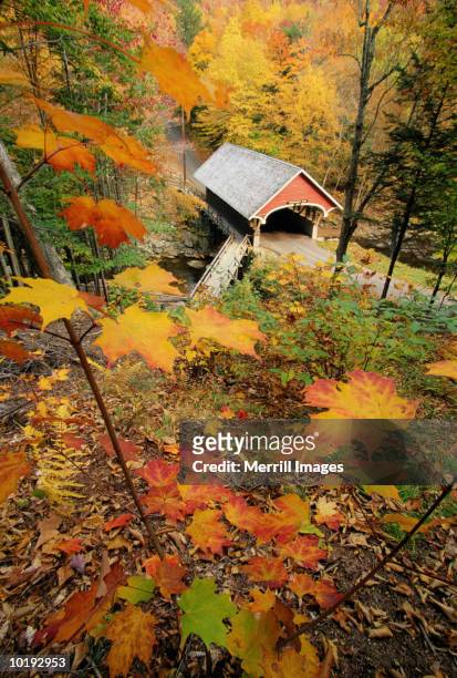 usa, new hampshire, covered bridge and fall foliage - white mountain national forest stockfoto's en -beelden