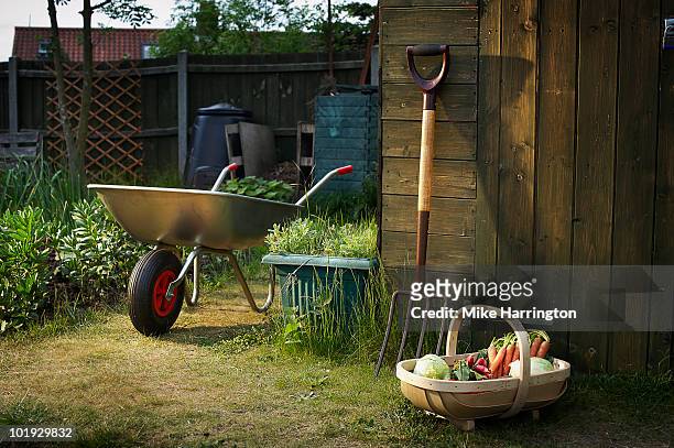 allotment and gardening tools - giardino pubblico orto foto e immagini stock