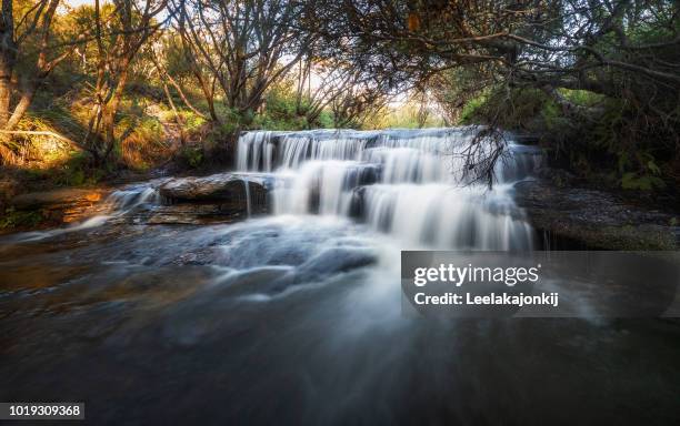 waterfalls in blue mountain national park - katoomba falls stock pictures, royalty-free photos & images