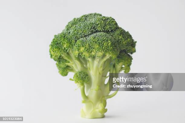 broccoli - broccoli white background stock-fotos und bilder