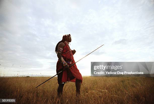 masai warrior walking in field, kenya - african warrior stock pictures, royalty-free photos & images