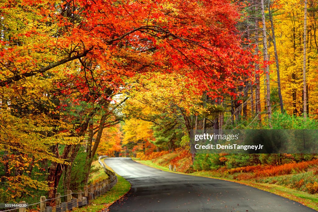 Estrada panorâmica de outono na área do parque de reservatório de Quabbin de Massachusetts