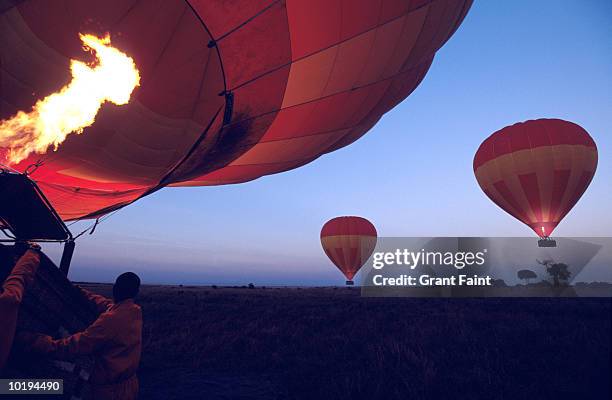 hot air balloons, sunrise, masai mara, kenya - set free stock pictures, royalty-free photos & images