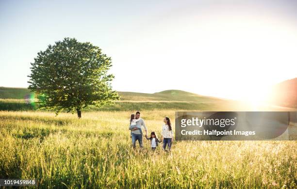happy family with two small children walking outside in spring nature at sunset. - beautiful wife pics fotografías e imágenes de stock