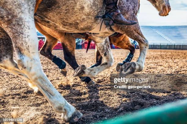 horses thundering by in a rodeo arena - horse hoof stock pictures, royalty-free photos & images