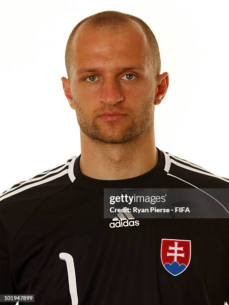 Goalkeeper Jan Mucha of Slovakia poses during the official FIFA World Cup 2010 portrait session on June 10, 2010 in Pretoria, South Africa.