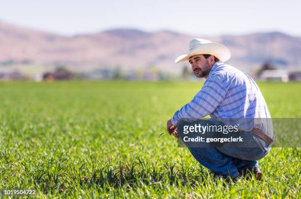 amerikaanse boer in een ontgonnen veld - knielen stockfoto's en -beelden
