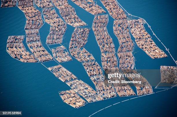 629 Timber Float Stock Photos, High-Res Pictures, and Images - Getty Images