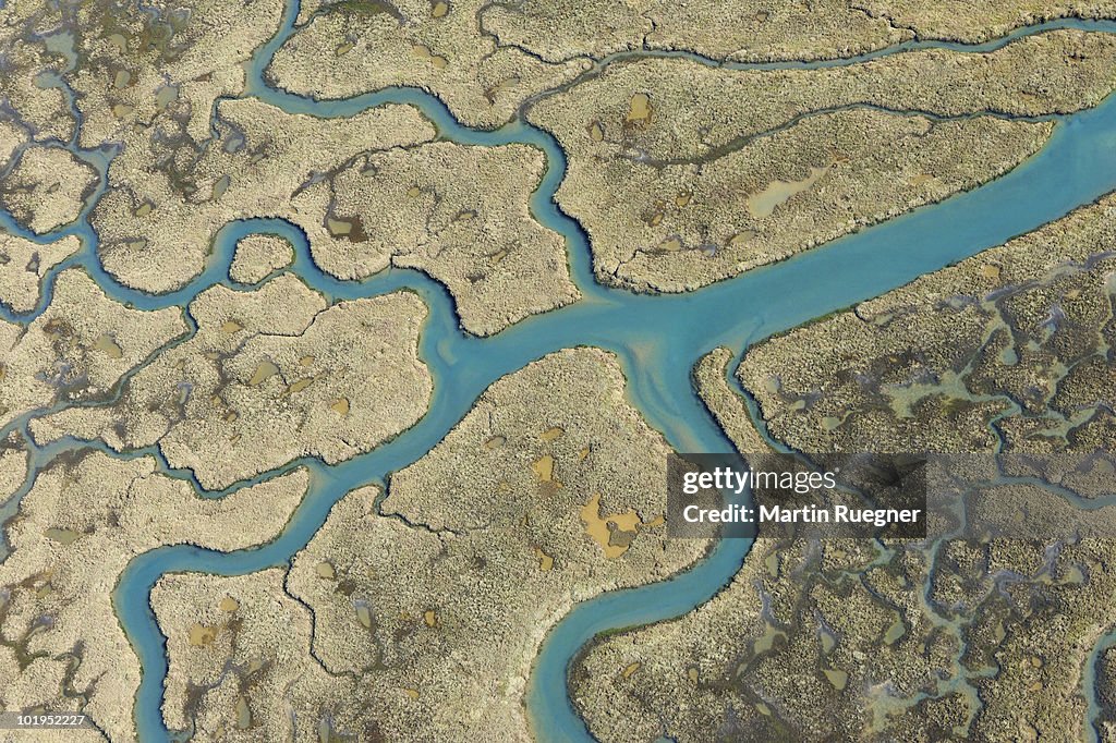 Marshland from above.