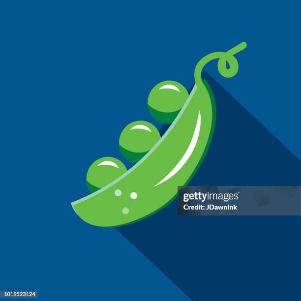 illustrations, cliparts, dessins animés et icônes de gousse de pois avec pois icône sur le thème design plat de légumes avec shadow - petits pois