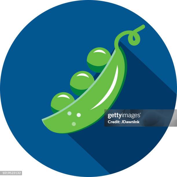 pea pod with peas vegetables flat design themed icon with shadow - pea pod stock illustrations