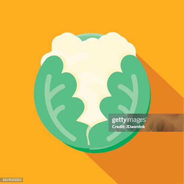 cauliflower vegetables flat design themed icon with shadow - cauliflower stock illustrations