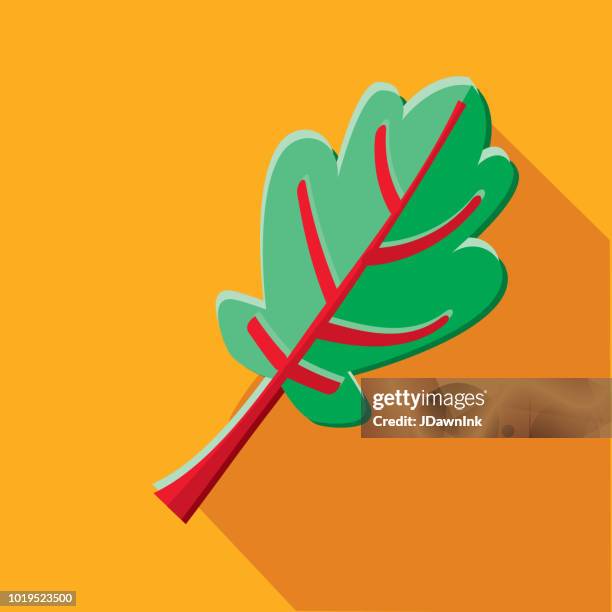 illustrazioni stock, clip art, cartoni animati e icone di tendenza di swiss chard vegetables flat design icona a forma di ombra - chard