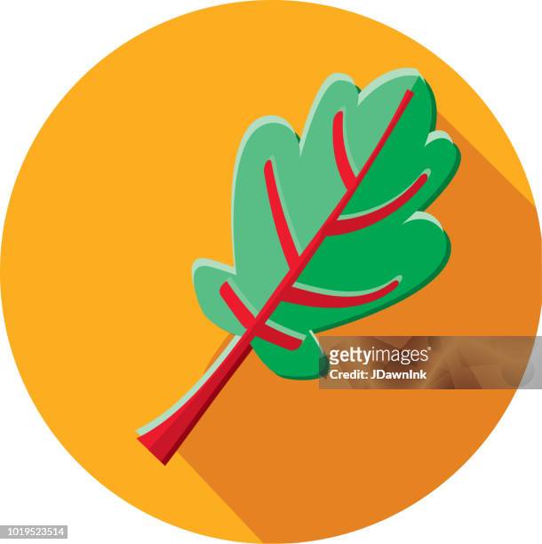 illustrazioni stock, clip art, cartoni animati e icone di tendenza di swiss chard vegetables flat design icona a forma di ombra - chard