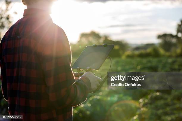 man farmer pilot using drone remote controller at sunset - farmer drone stock pictures, royalty-free photos & images