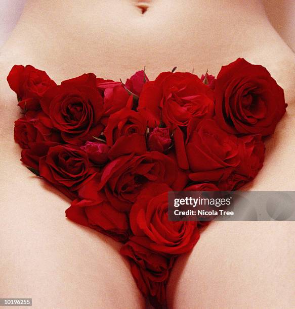 naked woman with roses covering groin, mid section, close-up - pubic hair stock pictures, royalty-free photos & images