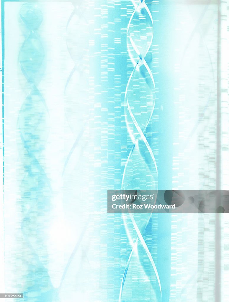 DNA helix and gel, montage (Digital)