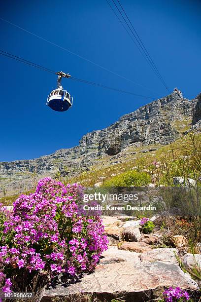 table mountain, cape town, south africa - cape town cable car stock pictures, royalty-free photos & images