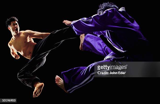 two men kung fu fighting - kung fu 個照片及圖片檔