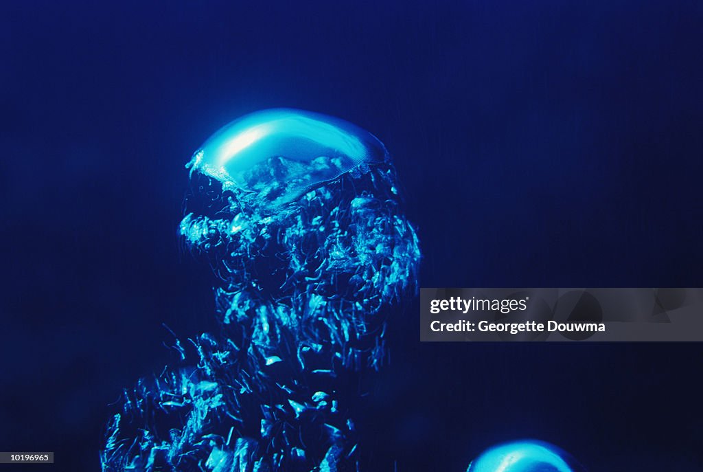 Diver's air bubble, close-up