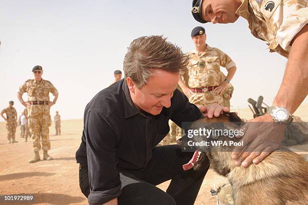 British Prime Minister David Cameron meets Espen, an explosives sniffer dog, and his handler, Sgt Tom Moir during his first visit to Afghanistan...