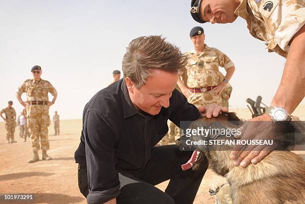 British Prime Minister David Cameron meets Espen, an explosives sniffer dog, and his handler, Sgt Tom Moir, at Camp Bastion in Helmand Province, on...