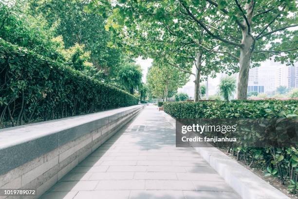 long walkway amidst green trees - trees vanishing point stock pictures, royalty-free photos & images