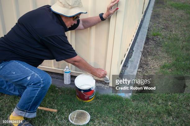 a mature woman paints her shed. - home renovations australia stock pictures, royalty-free photos & images
