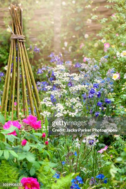 beautiful vibrant english cottage garden flowerbed with wicker plant support in the hazy summer sunshine - flowerbed stock pictures, royalty-free photos & images