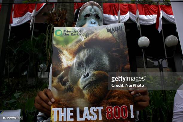 Environmental activists from Living Environmental Facility , a non-governmental organizations that focus on the environment, wears an orangutan mask...