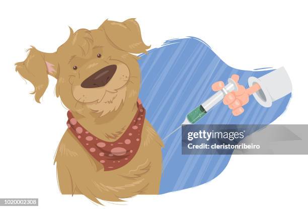 vaccinating the dog - rabies stock illustrations