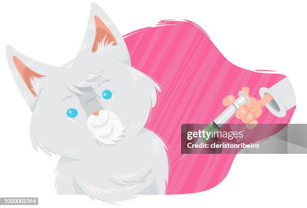 vaccinating the cat - cat looking over stock illustrations