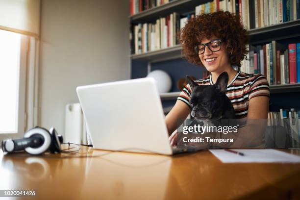 woman working at home. - working from home imagens e fotografias de stock