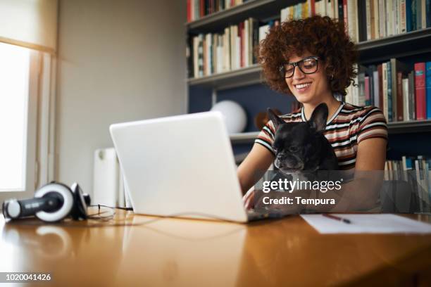 mulher trabalhando em casa. - home office - fotografias e filmes do acervo